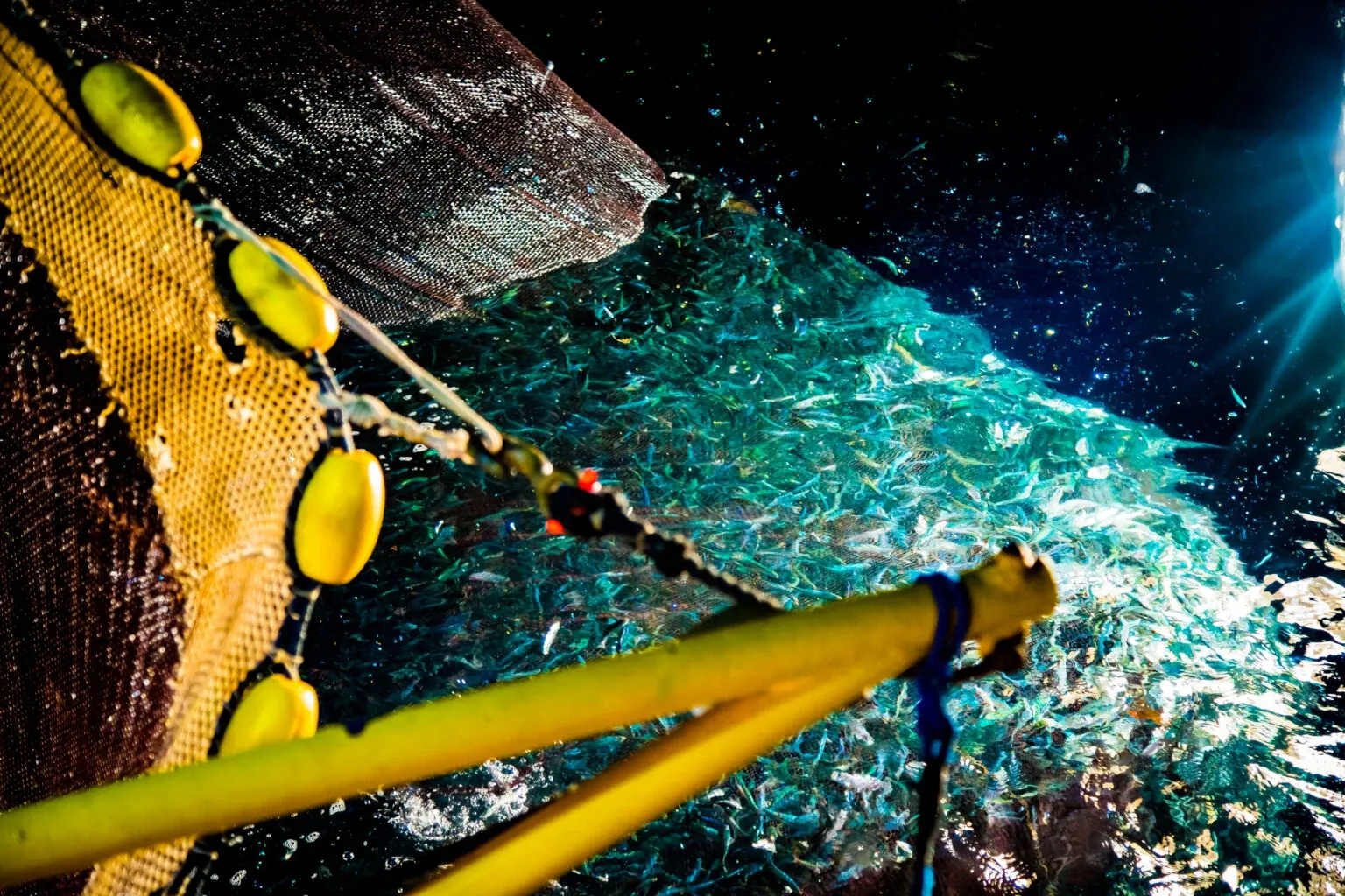 Fishing off Sciacca