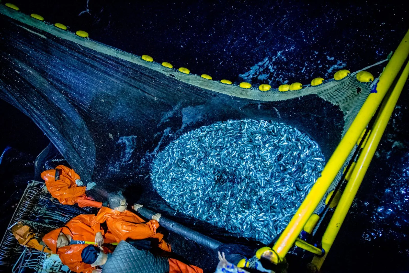 La pesca notturna al largo di Sciacca