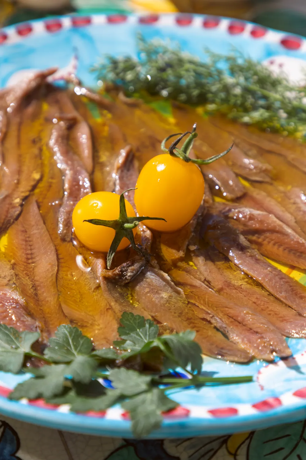 Anchovies in the kitchen