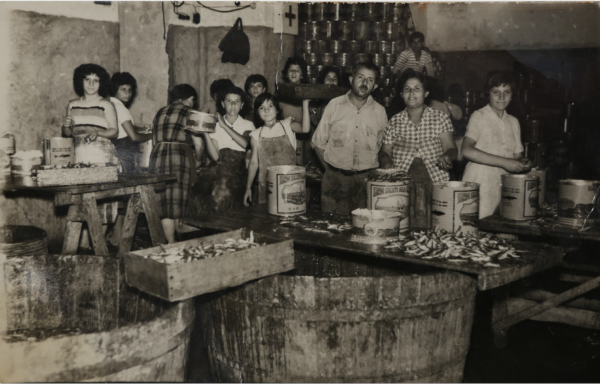 Foto storica dell'azienda Carlino (51)