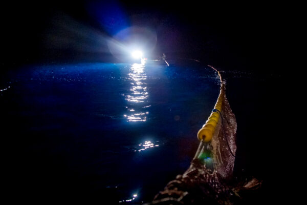 Pesca notturna delle acciughe (36)